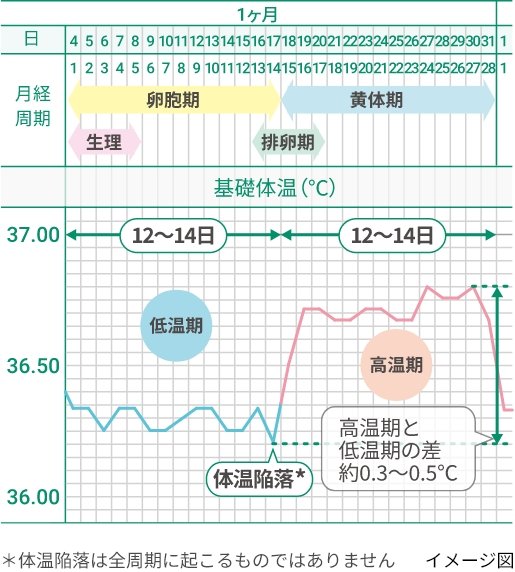 カツセマサヒコ | お知らせ7つ告知インスタライブ