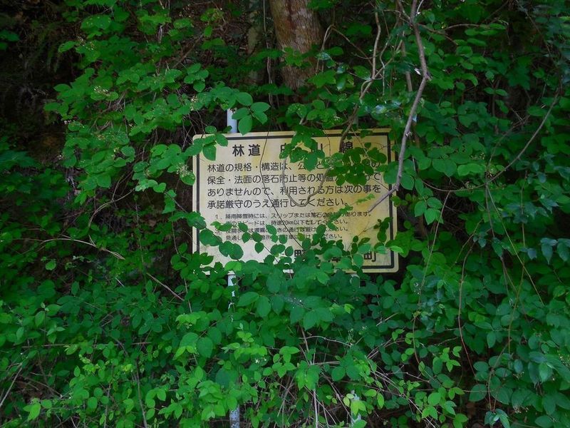 白山市鳥越地区で土砂崩れ : でくのぼうぷれす