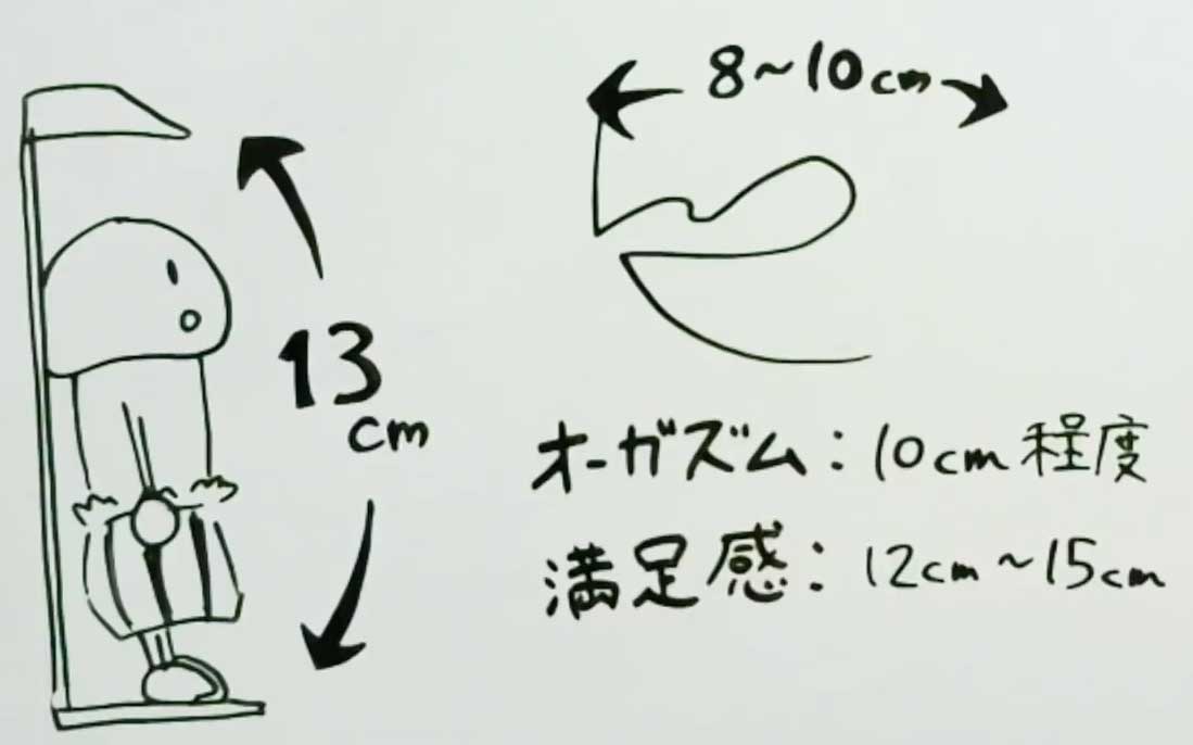 ヒトの陰茎のサイズ - Wikipedia