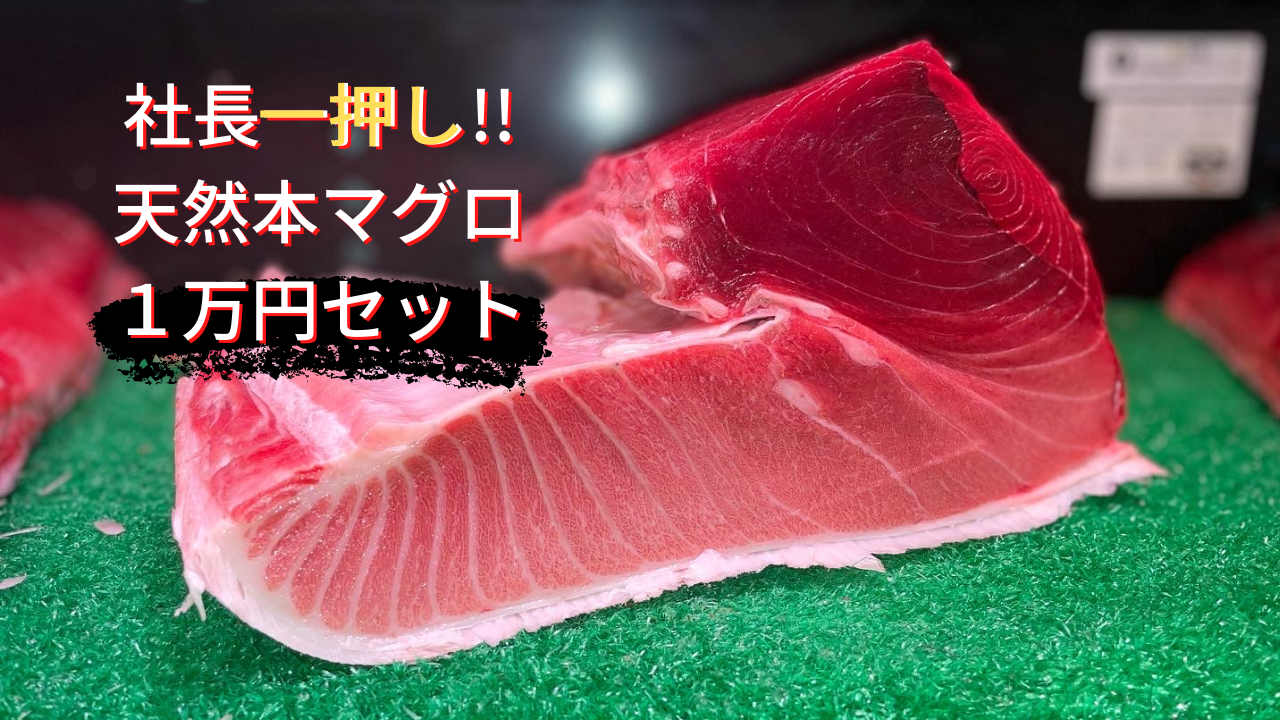 臼福本店 10％オフ 昭福丸の天然本まぐろ 2種セット 魚介