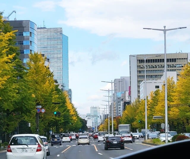 カラーバー 8.25インチ プレイボーイ東京