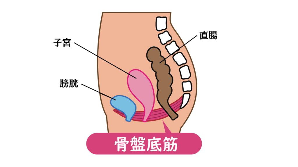 膣ナラ(ちなら)が出ると恥ずかしい？原因・対処法・男性の本音などを解説｜風俗求人・高収入バイト探しならキュリオス