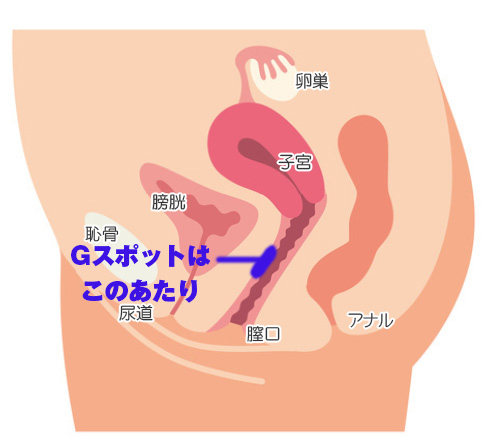 風俗嬢にアンケート】手マンでイカせるテクニックを伝授！絶対NG例も公開！ | Trip-Partner[トリップパートナー]