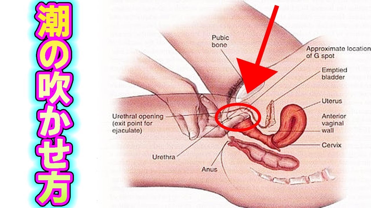 女性の潮吹きのやり方って？一人でできる練習方法やコツを解説します｜ココミル