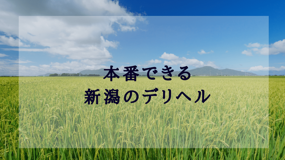 新潟の裏風俗情報まとめ！立ちんぼや本サロなど2024年最新情報を調査 | 裏風俗通り