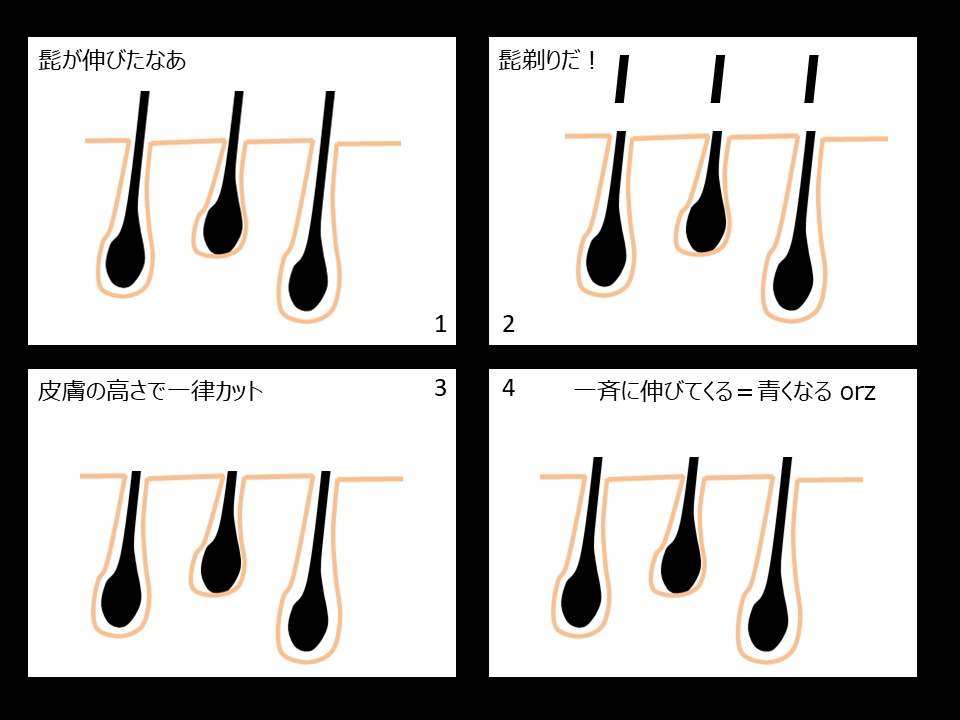 毛抜きでヒゲを抜くと生えなくなる？｜髭の自己処理方法の比較とヒゲをなくす方法 | エピステ