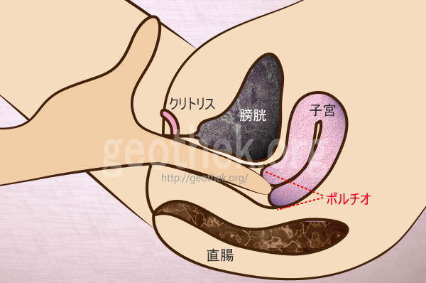 セックスで女性をあなたの虜にさせる！テクニシャンになるためのハウツー ～ポルチオ愛撫編#04～ | ものしり.com