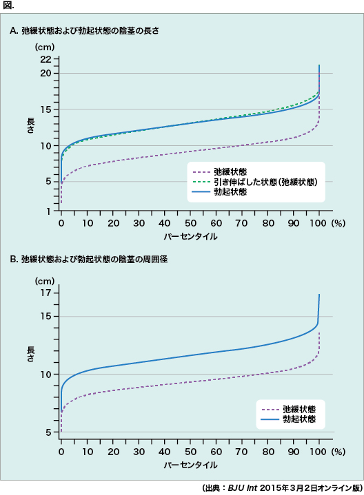 平均的なペニスの大きさを身近なものと比較しまくってみるとこうなる - GIGAZINE