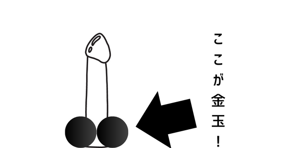 ホストの解説】気持ちいいちんこの触り方とは!?男が喜ぶちんこの触り方を解説 | Trip-Partner[トリップパートナー]