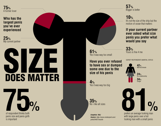 男性器の大きさは女性にとって重要なのかというアンケート結果をまとめた図 - GIGAZINE