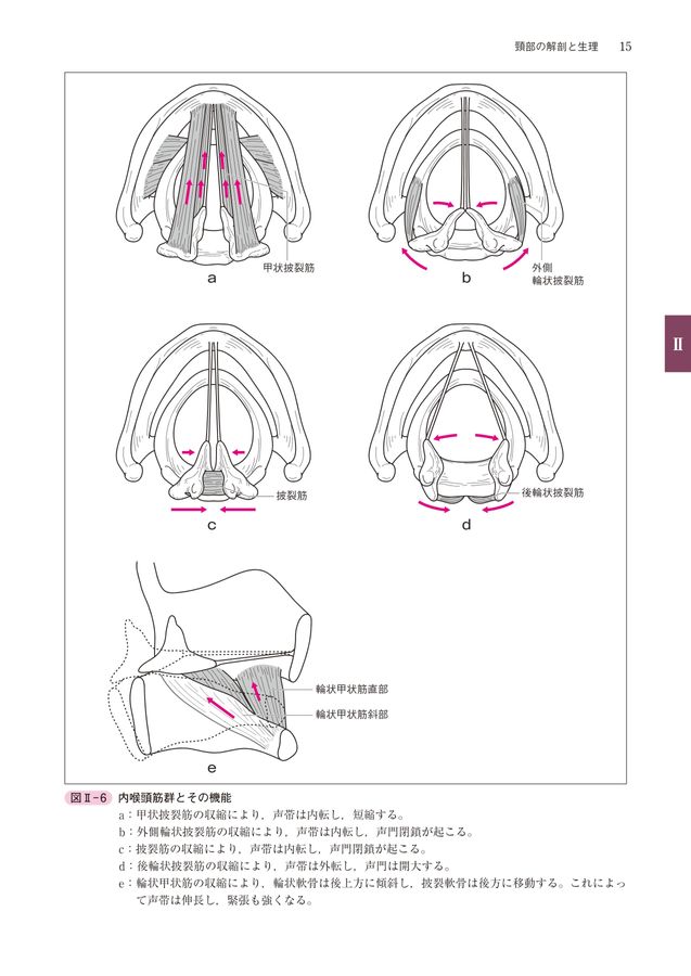 喉締めの直し方