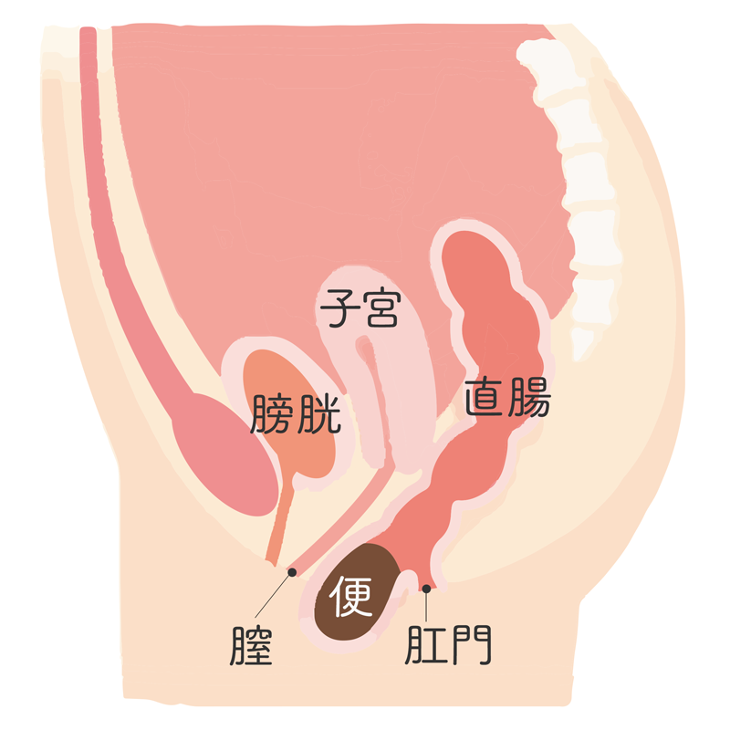 中イキさせるための膣内の性感帯一覧！Gスポットやポルチオなど - sexprogress.com