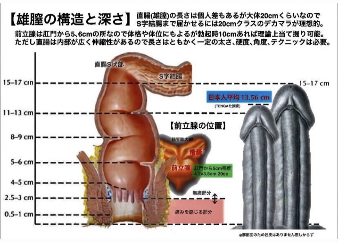 SOROU ステンレス S字フック