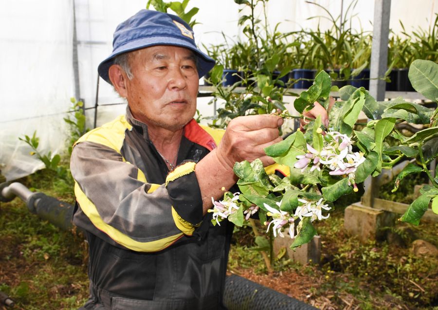 香りを通じて産業連携した高知を発信 香りの聖地へ | 高知FORESTVISION株式会社のプレスリリース