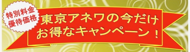 豊島区池袋で出張マッサージなら –【東京ラフルール】