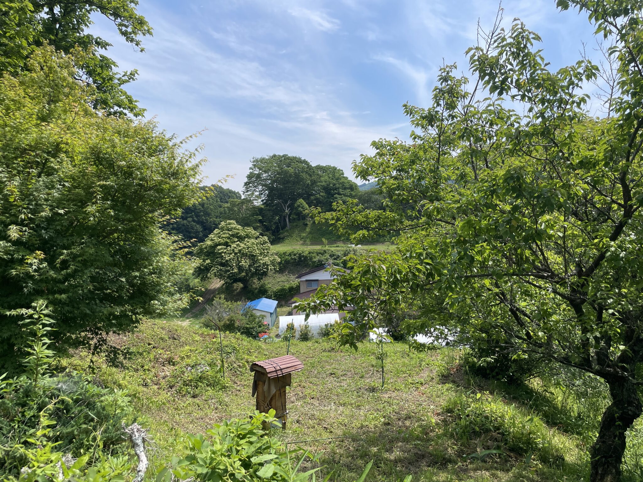 木造 建方の転職・求人情報 - 群馬県｜求人ボックス