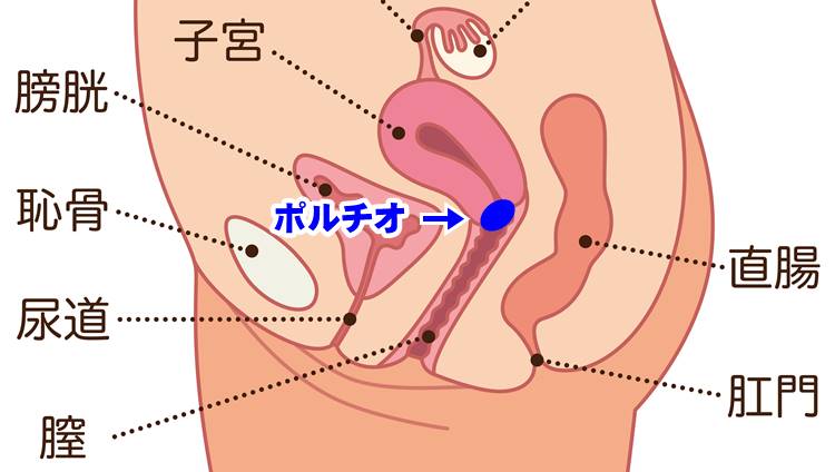 騎乗位は腰の動き方が大事！女性がイクほど気持ちいいやり方・彼が興奮する方法は？ | ファッションメディア -