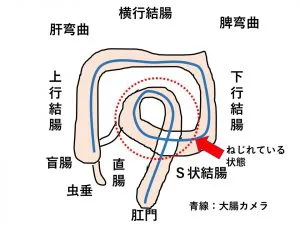 朝のセックスは効果抜群？寝起きのセックスのタイミングや時間、楽しむ方法 | antenna[アンテナ]