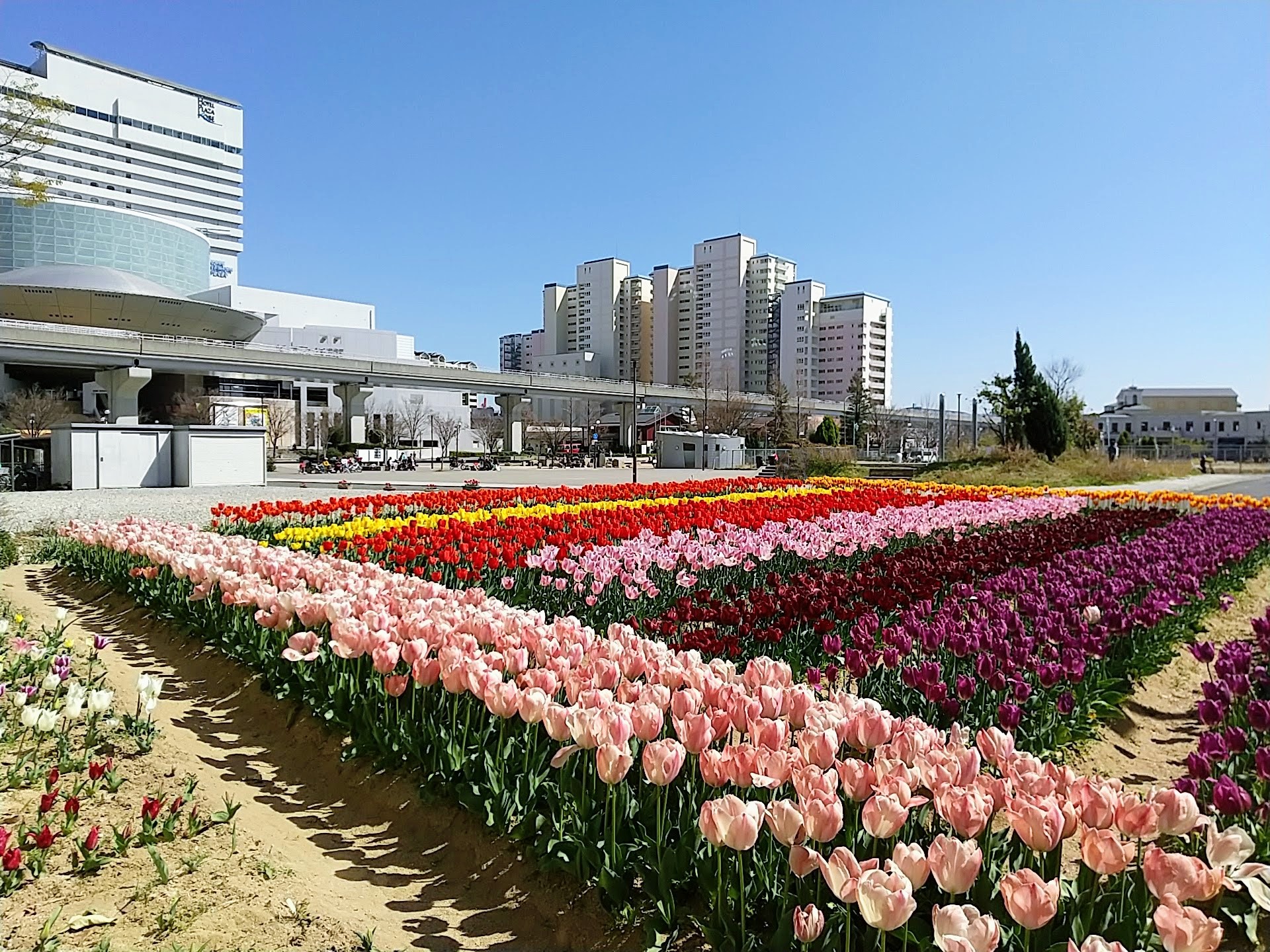 季節の花々がつぎつぎに咲き誇ります：神戸市立須磨離宮公園の花ごよみ | 神戸っ子