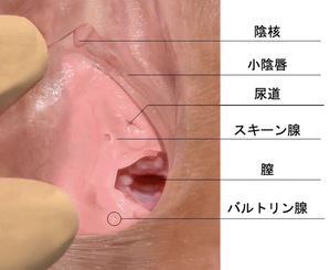 セックスでイク方法！女性がイク感覚とは - 夜の保健室