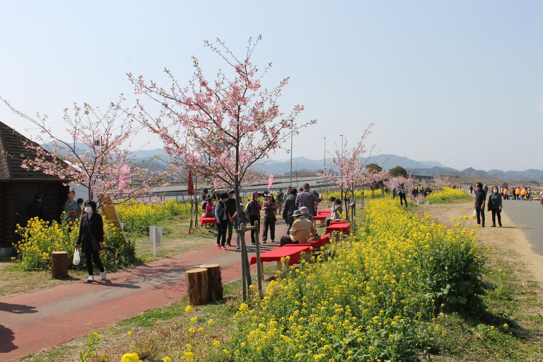 終了】延岡花物語 | イベント