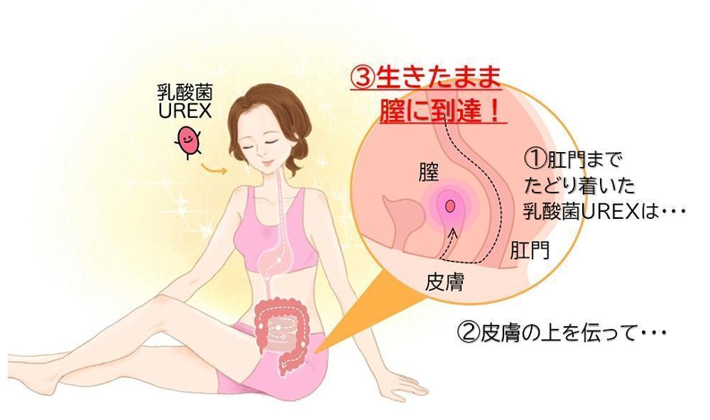 中イキのやり方・コツとは？膣イキにおすすめの体位やコツを丁寧解説【快感スタイル】