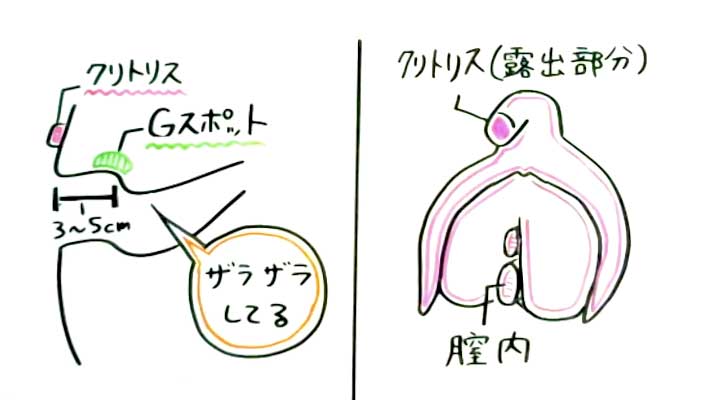 性交体位はどんな種類がある？体位を変えるメリットとは - 藤東クリニックお悩みコラム