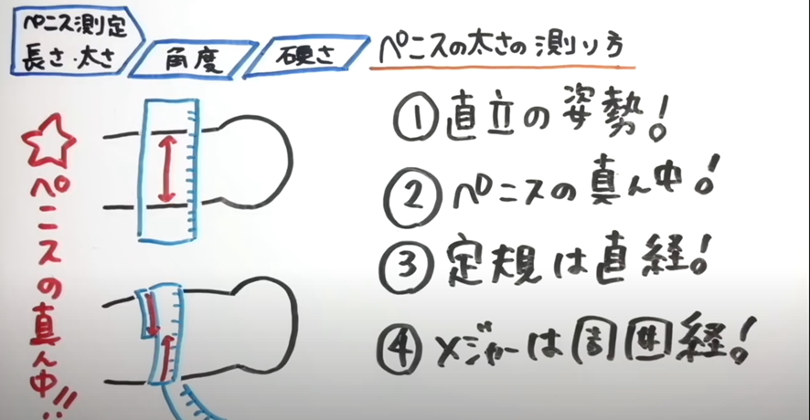 トイレットペーパーを使ったペニスの大きさと太さの測り方を紹介！｜風じゃマガジン