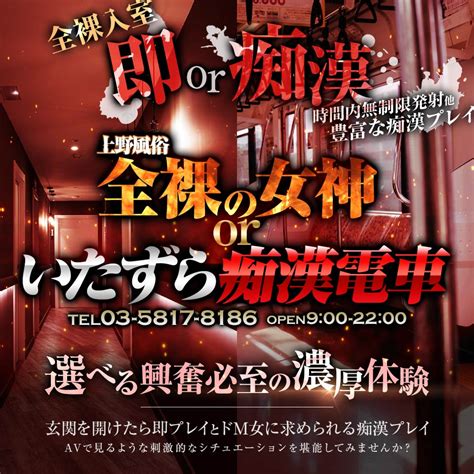 THE痴漢電車.comの口コミ・求人情報(立川 デリヘル)｜バニラ求人で高収入アルバイト