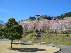 マルベリーガーデン | 花や植物・ペットと暮らす癒し空間