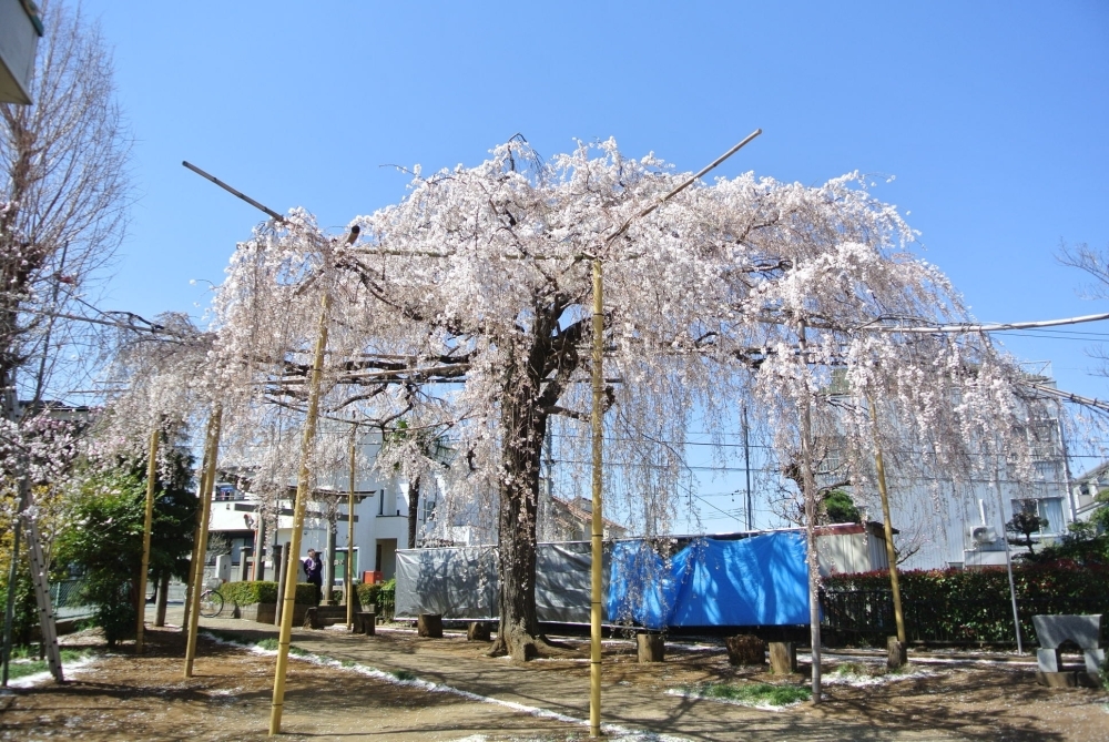 ライオンズマンション登戸駅前の賃貸物件 | 溝の口の賃貸物件情報なら桜華ハウジングへ！