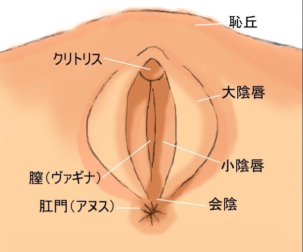 イクまで続けてくれる手マンの名手を養成する方法 | antenna[アンテナ]