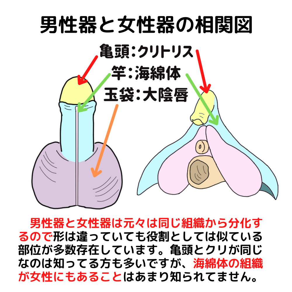 中イキできない原因と女性がオーガズムを感じる方法