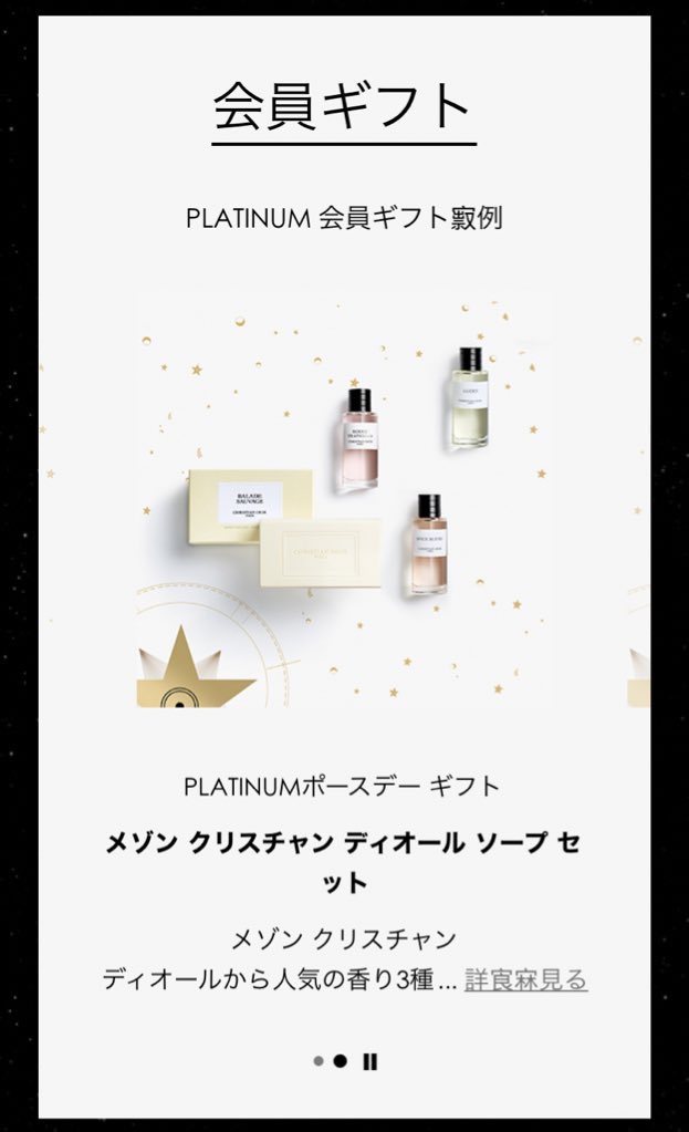 Dior プラチナ会員バースデーギフト - バッグ