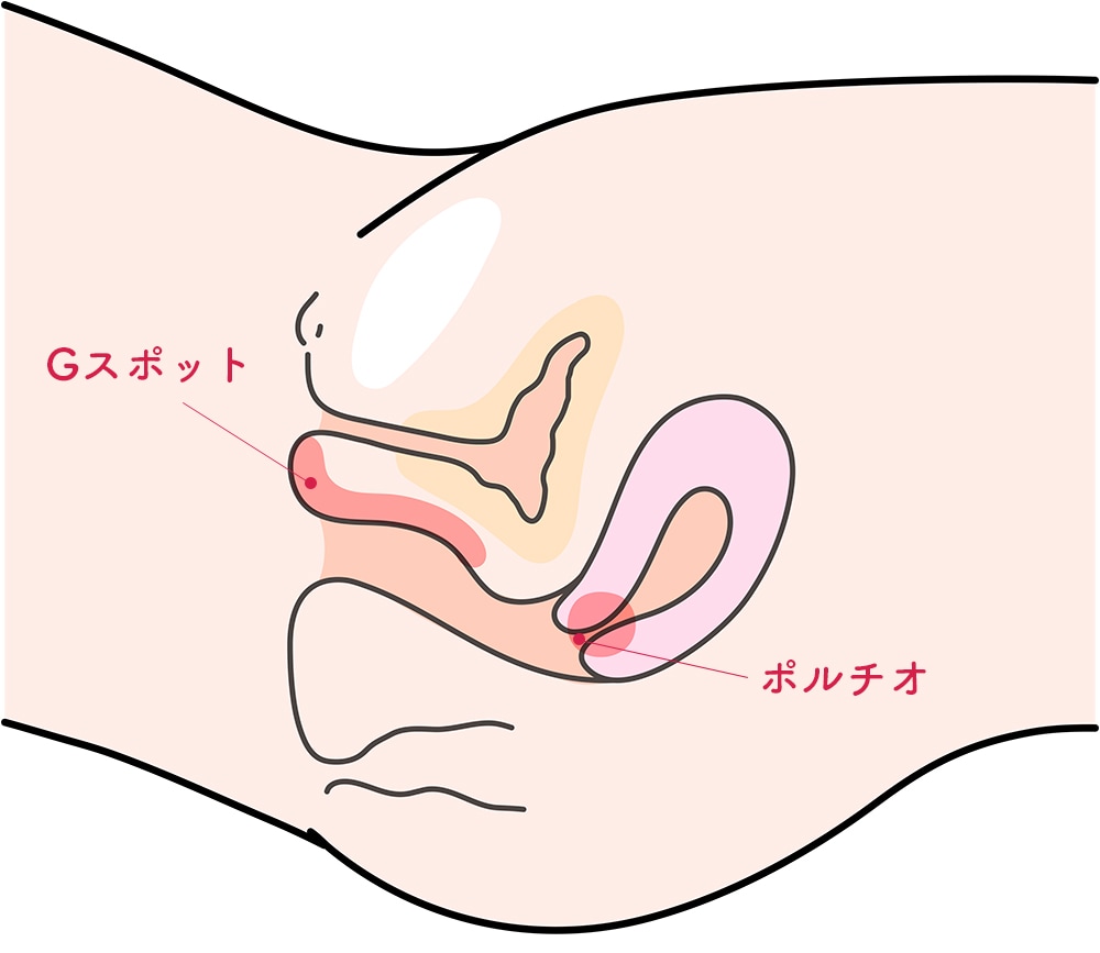 彼女の膣の中に指を入れていくと、コリコリとした小さい腫瘍みたいなも- その他（病気・怪我・症状） |