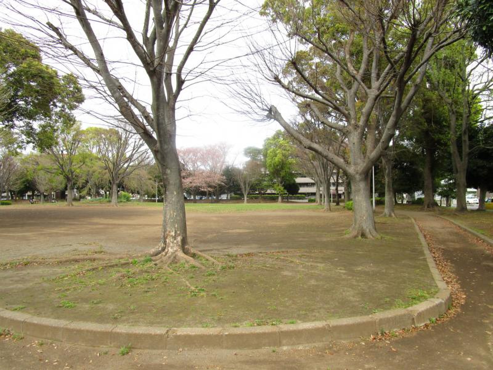 幕張台公園／ホームメイト