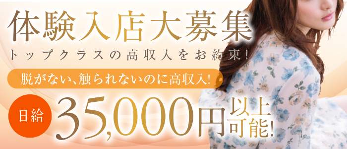 アイドルマスター 高垣楓 マイクロビキニ A4クリアファイル しおこんぶ