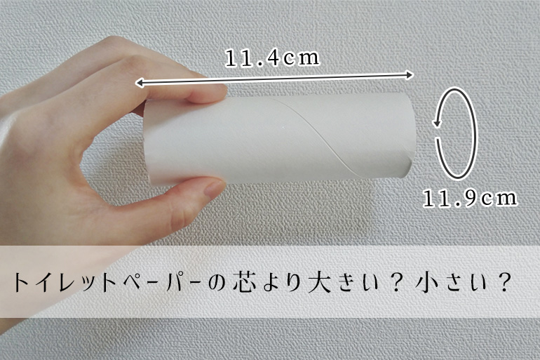 外国人と日本人の性器に違いはある？ - 夜の保健室