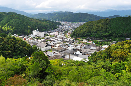 高知中央(高知県3位) 小技や機動力、生かした攻め【秋季四国高校野球 代表12校の戦力】｜スポーツ｜徳島ニュース｜徳島新聞デジタル