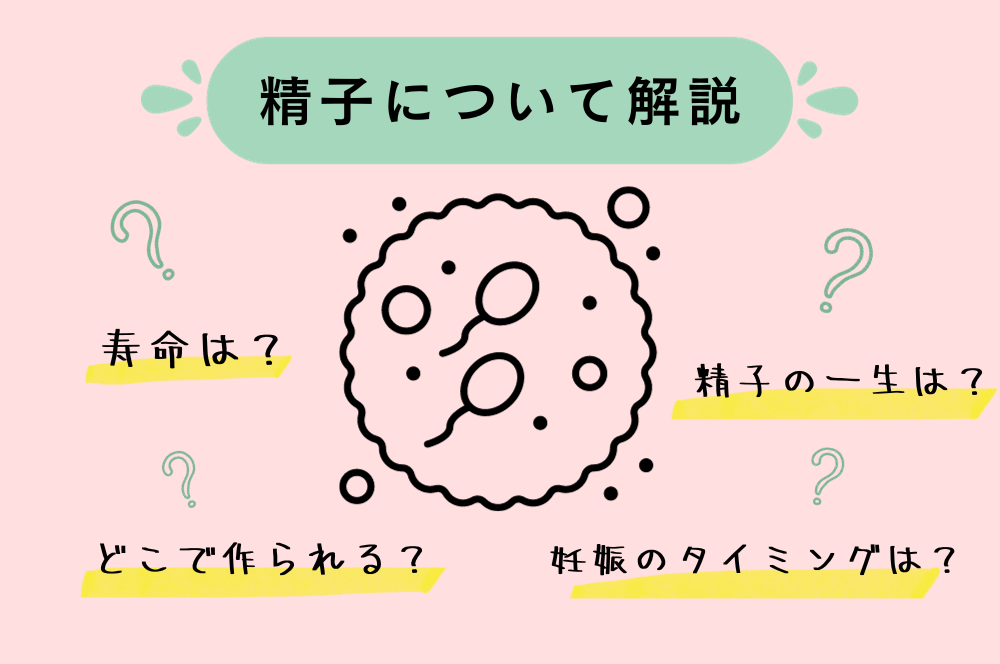 駿河屋 - 【買取】お見舞いに来た小悪魔姪っ子にこっそり布団の中で何度も射精させられた僕… / 奏音かのん（ＡＶ）