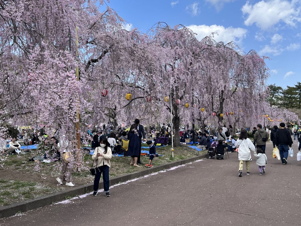 旅館 森重 | BINGAN