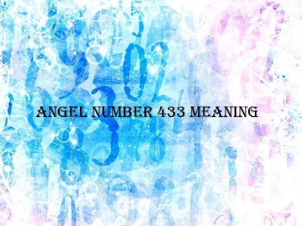 Angel Numbers App -