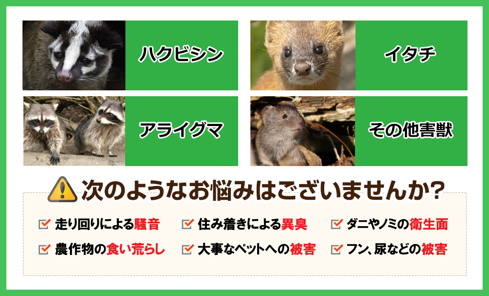 大分県佐伯市で自然の循環をテーマにした観光プロジェクト「浦１００」が始まります | 一般社団法人 佐伯市観光協会のプレスリリース