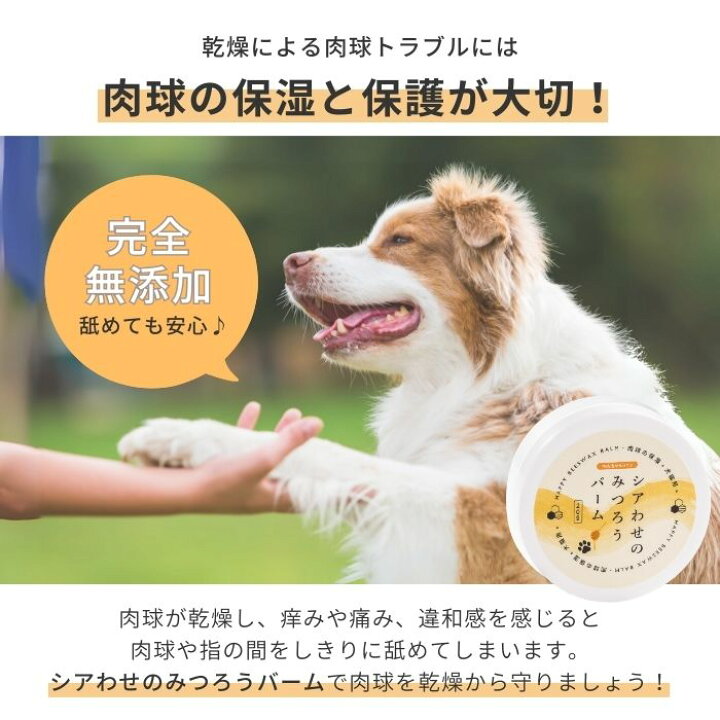 ◀︎◀︎◀︎愛犬との暮らしがもっと楽しくなる情報を配信中🐶💓 今日の投稿は… 【知らないと気づかない