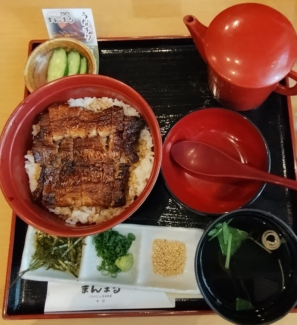 肉団子ともちもち餃子の鶏出汁鍋 - 豊島区、日本酒原価酒蔵