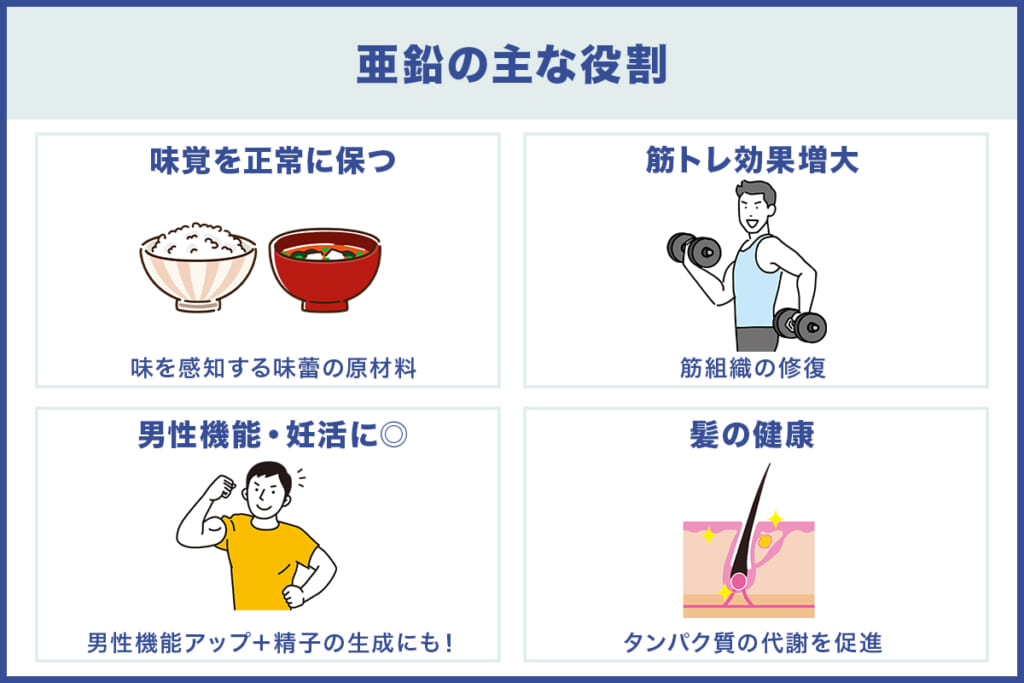 バイアグラ服用による精子への影響【浜松町第一クリニック】