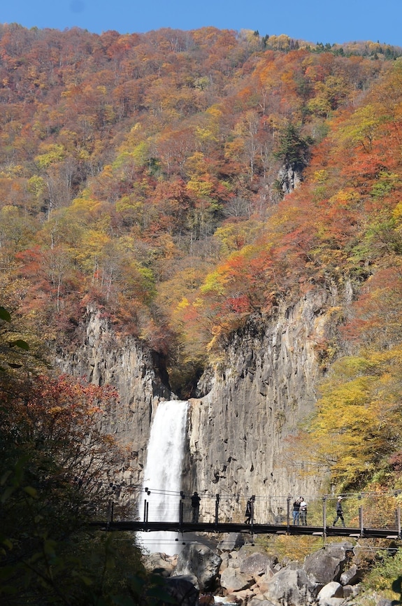 2⋆ 森のログホテル カムループス ≡ 信濃町,