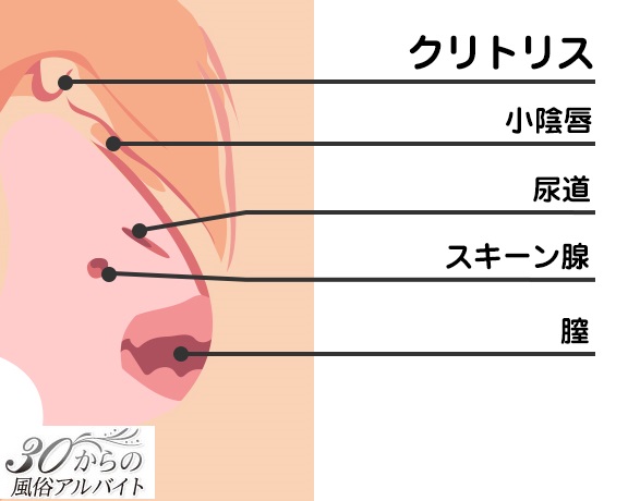 Gスポットがザラザラしてる所はウソ!簡単な見つけ方と開発方法｜裏垢男子で年収2000万