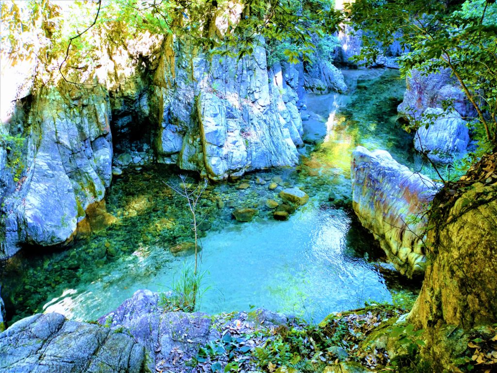 愛媛県のニュース一覧｜シティヘブンネット