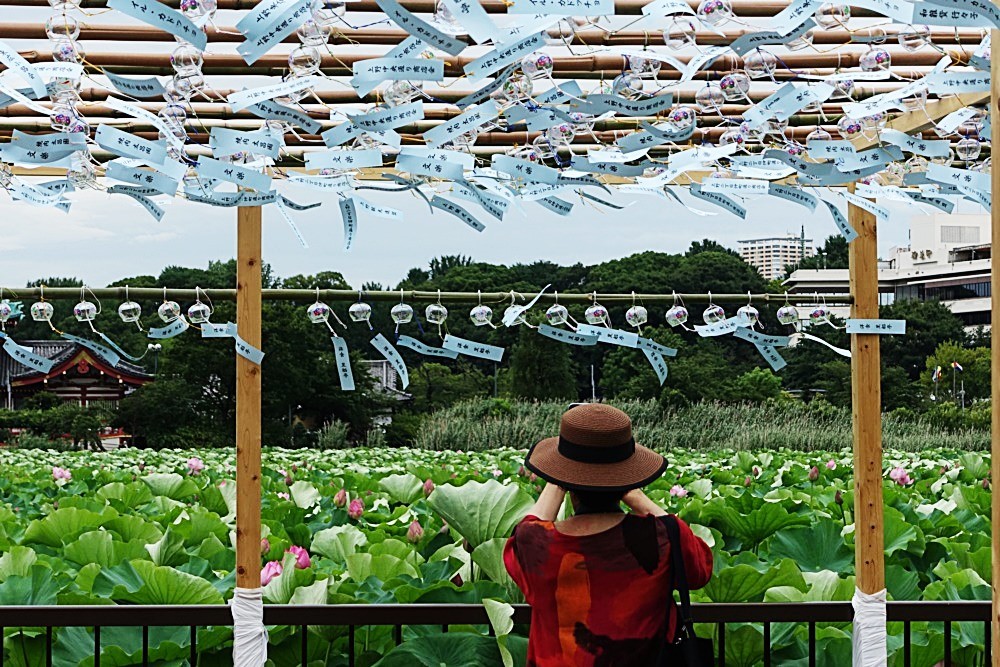 上野・湯島で“涼”を感じるおやつ6選。歩き疲れた体をほんの少しクールダウン｜さんたつ by 散歩の達人